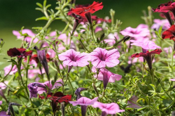 Comment utiliser une étagère décorative pour séparer un espace ?